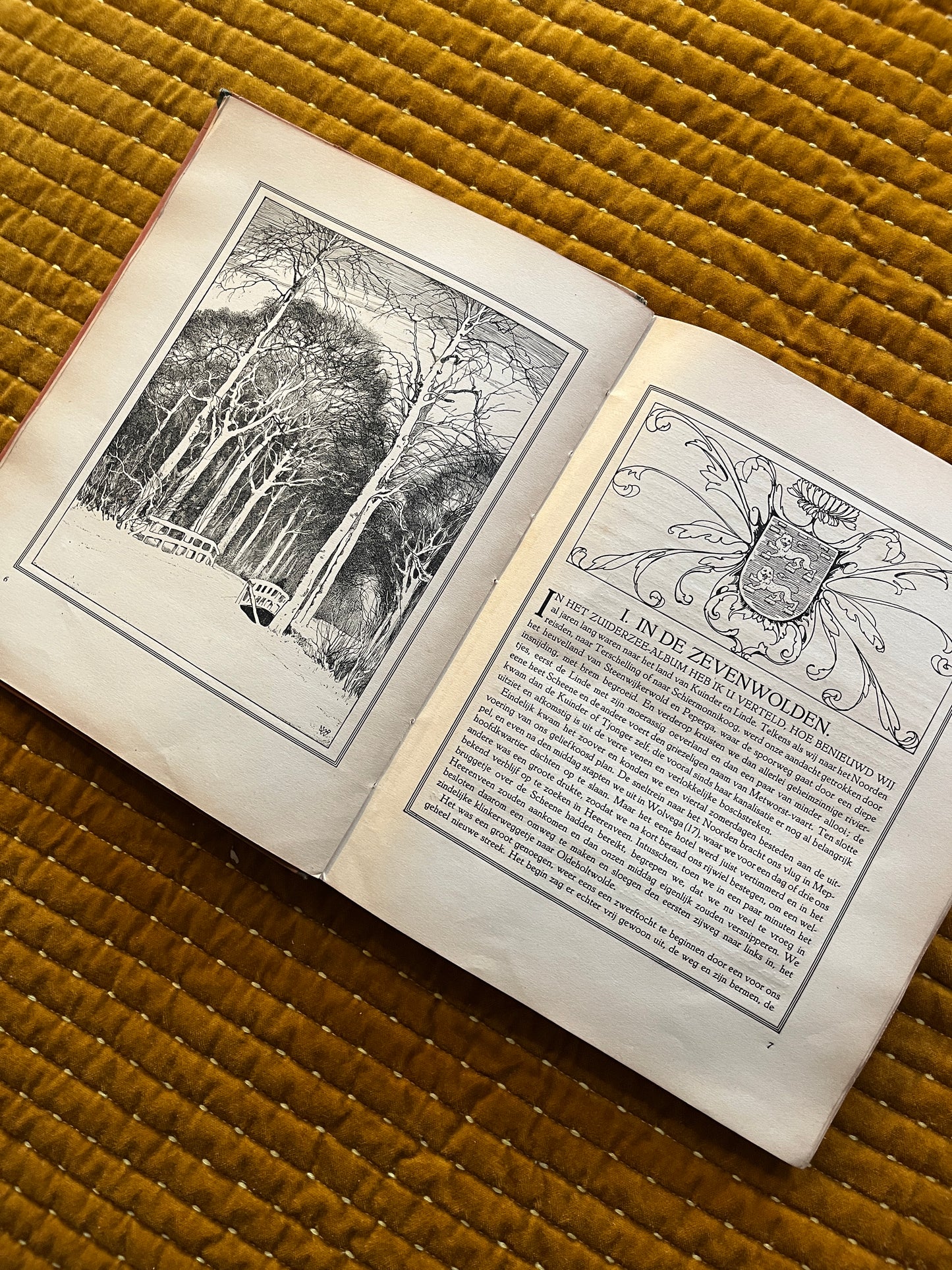 Friesland Verkade Bilderalbum 1918