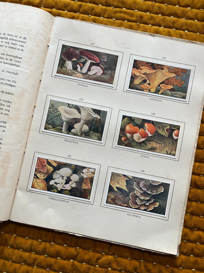 Herfst Verkade Plaatjesalbum 1910