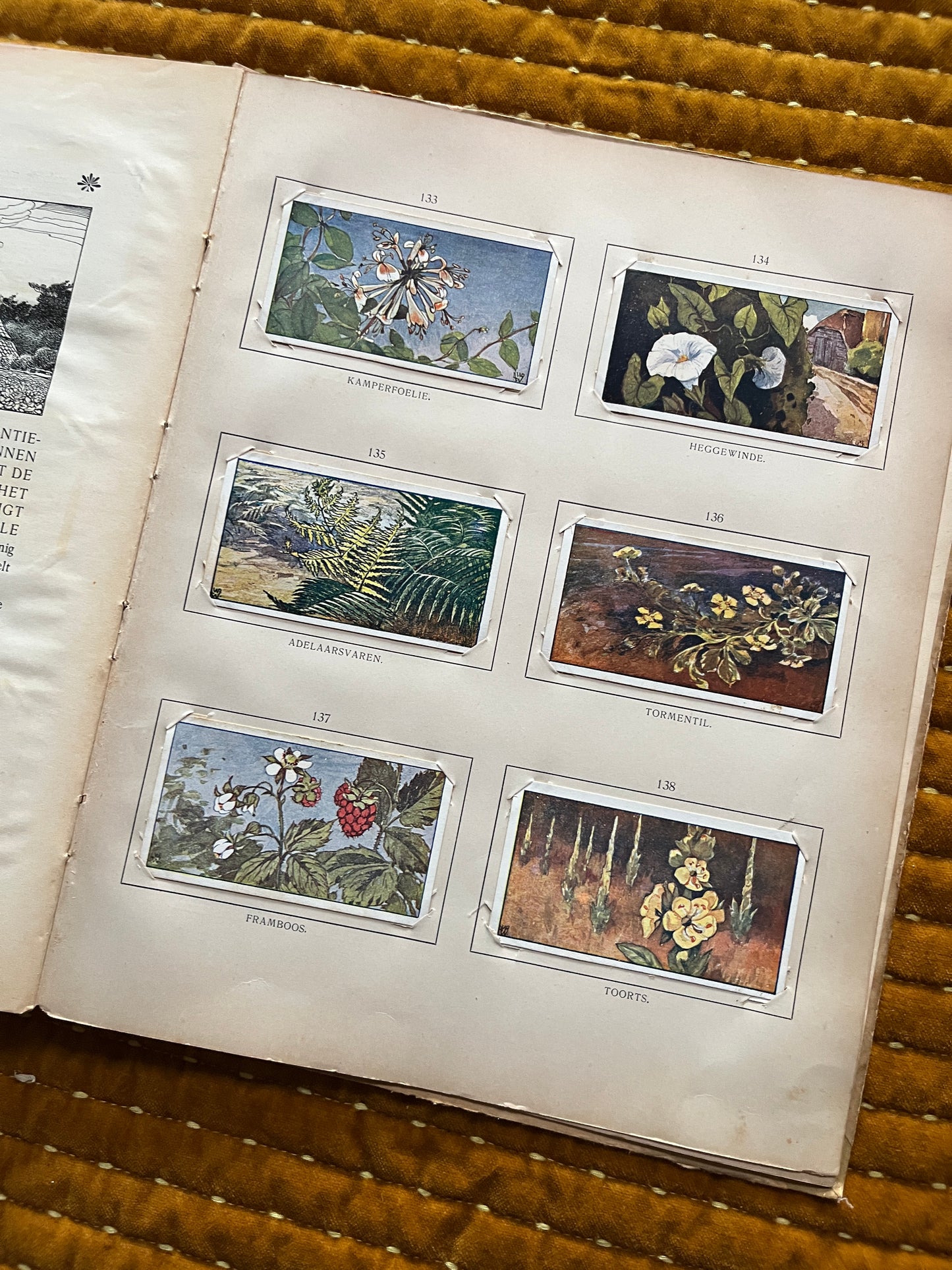 Zomer Verkade Plaatjesalbum 1907