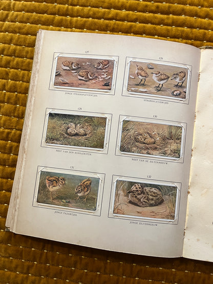 Blonde Duinen Verkade Plaatjesalbum 1910