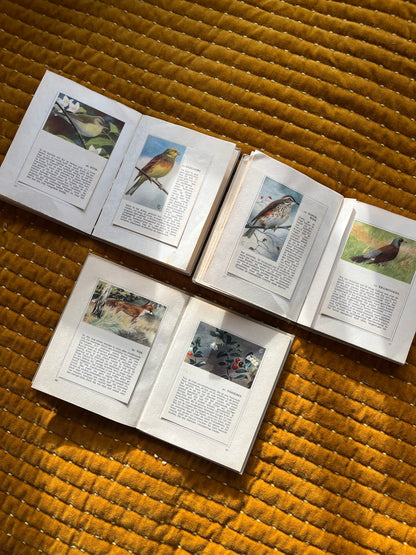 De Hoge Veluwe Zakalbums serie