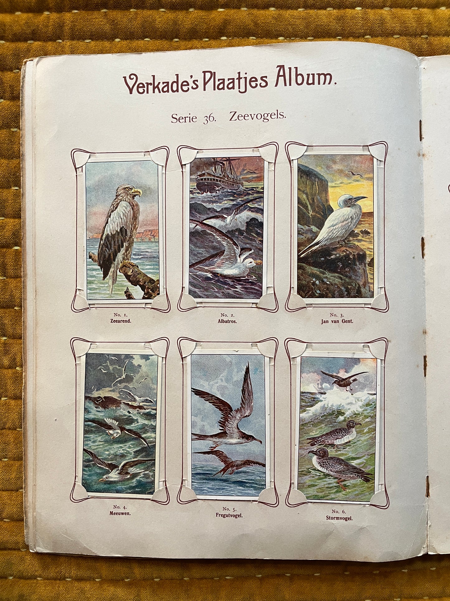 Verkade Picture Album 2 (1904) loose pictures Series 36 Seabirds