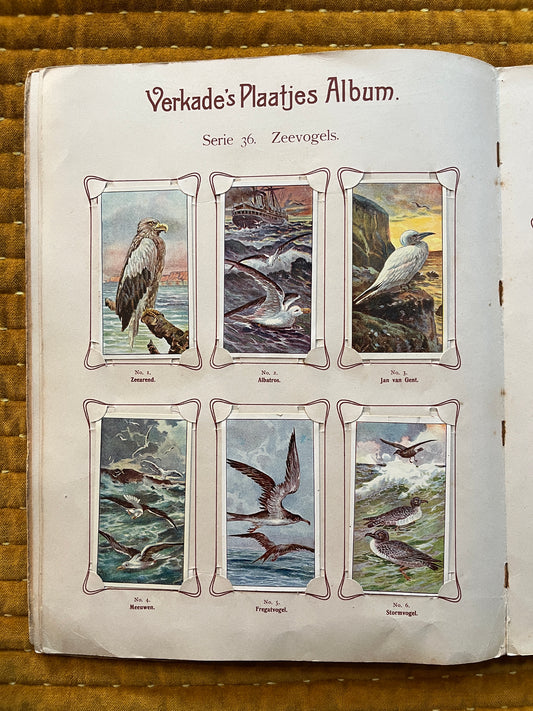 Verkade Plaatjesalbum 2 (1904) losse plaatjes Serie 36 Zeevogels