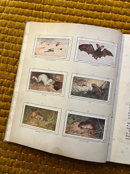 Blonde Duinen Verkade Plaatjesalbum 1910