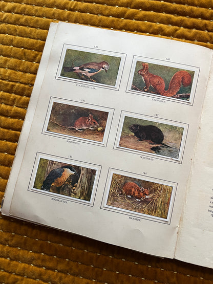 Herfst Verkade Plaatjesalbum 1910