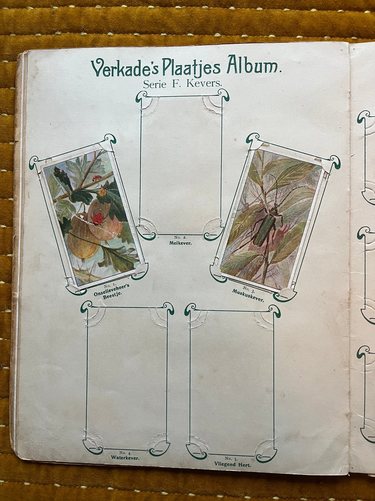 Verkade Bilderalbum 1 (1903) lose Bilder Serie F Käfer