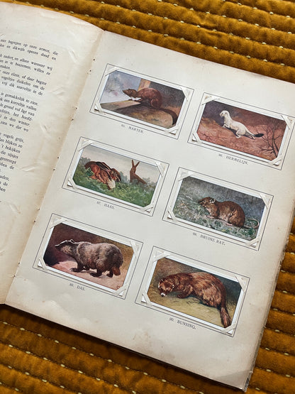 Winter Verkade Plaatjesalbum 1909