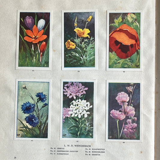 6 Verkade plaatjes De bloemen in onze tuin 1926 (43-48)