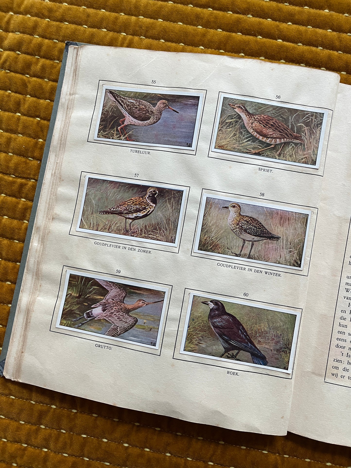 Das Bonte Wei Verkade-Bilderalbum 1911