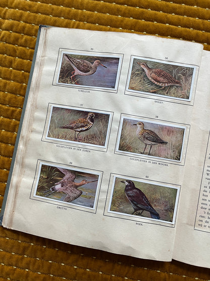 Das Bonte Wei Verkade-Bilderalbum 1911