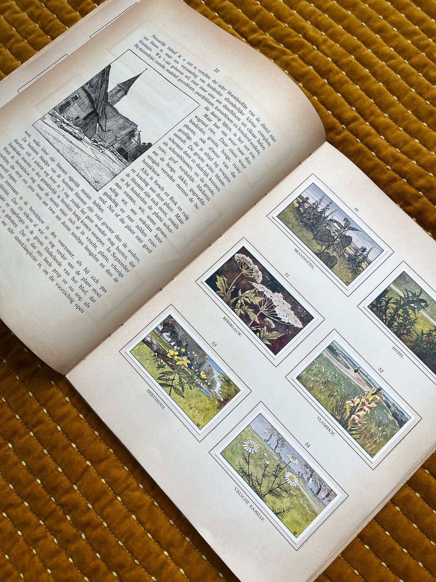 Zomer Verkade Plaatjesalbum 1908 (tweede druk)