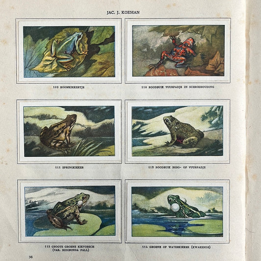 6 Verkade plaatjes Zeewateraquarium en terrarium 1930 (109-114)