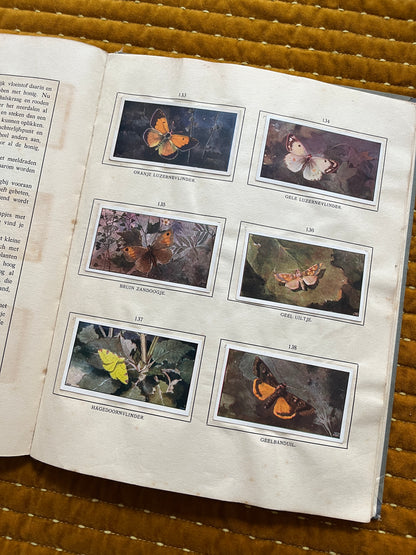 Das Bonte Wei Verkade-Bilderalbum 1911