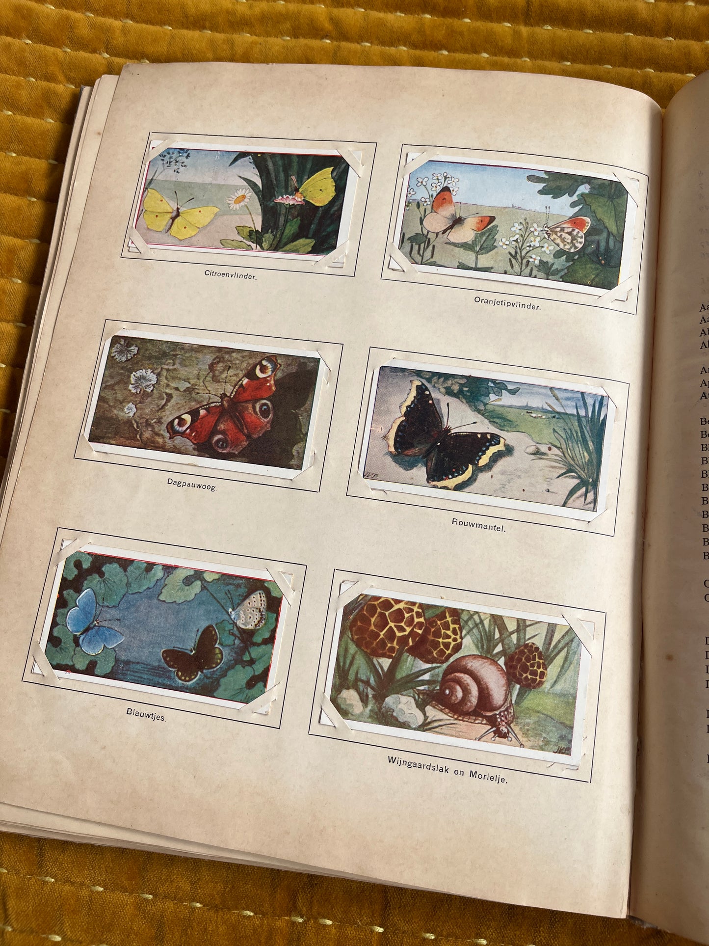 Lente Verkade Plaatjesalbum 1906