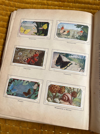 Lente Verkade Plaatjesalbum 1906