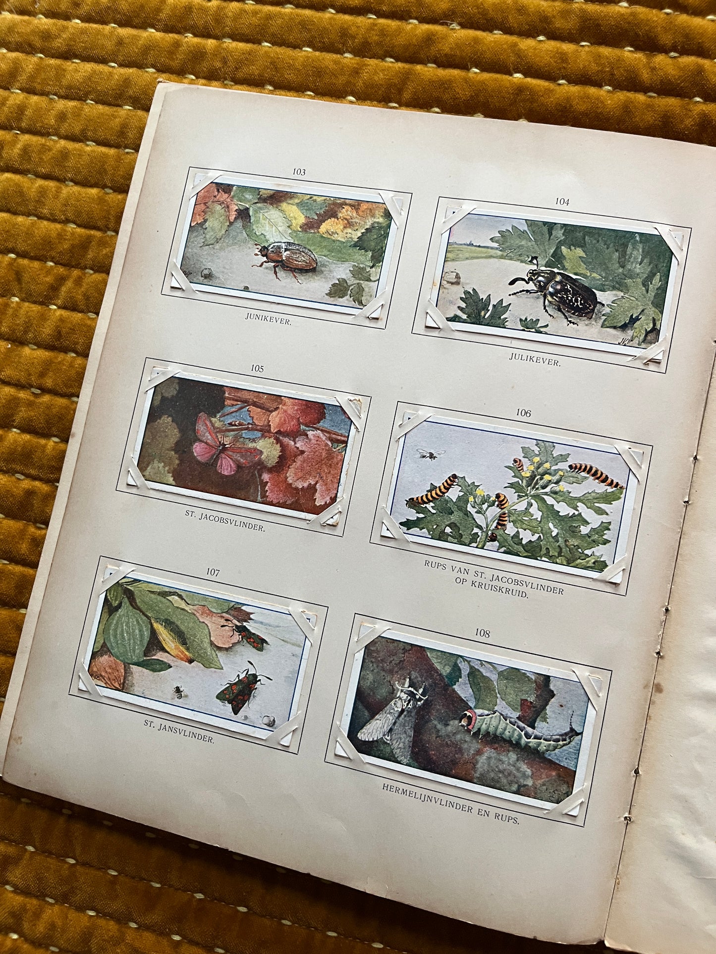 Zomer Verkade Plaatjesalbum 1907