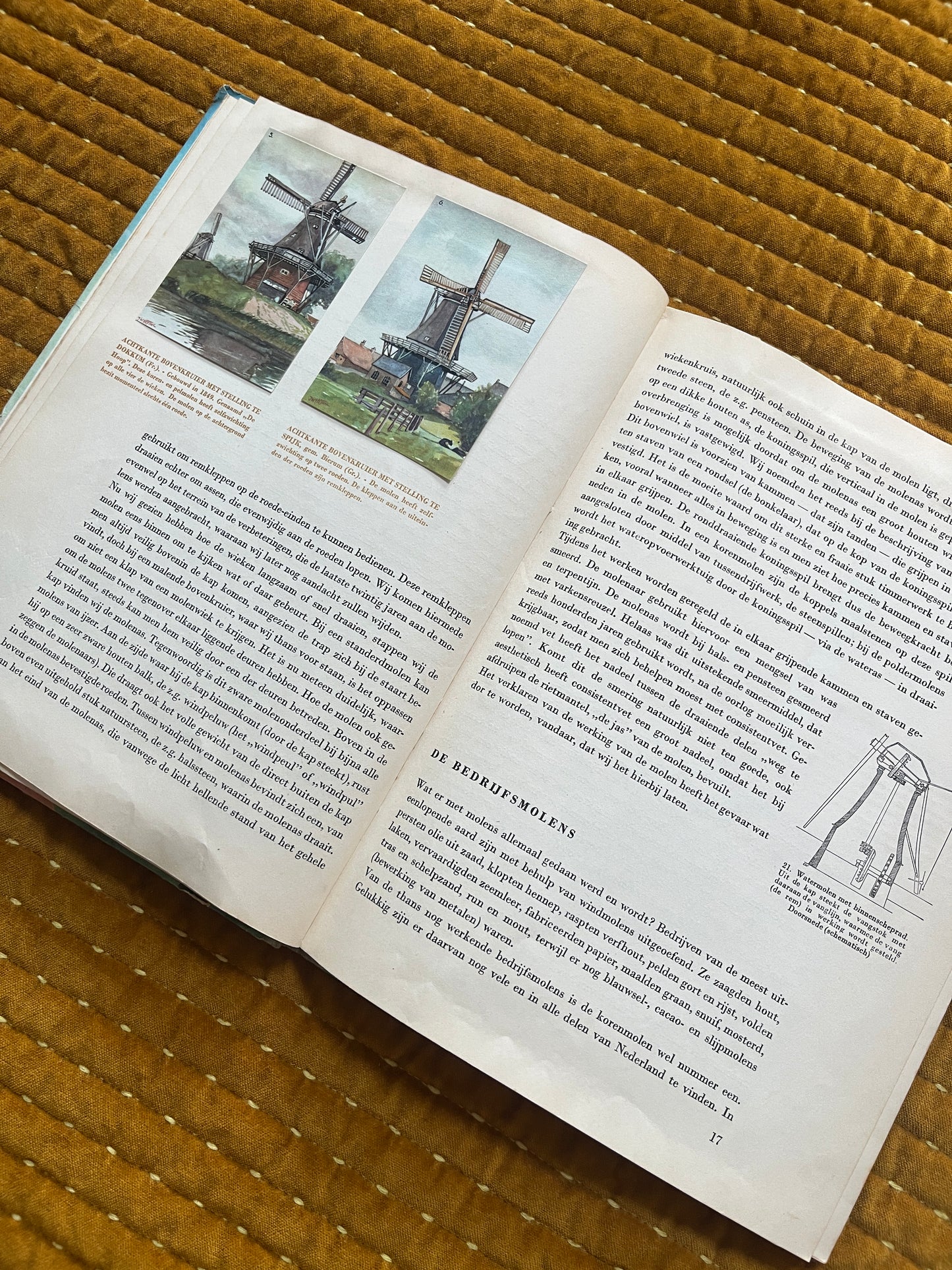 Mühlen und Kostüme in den Niederlanden, Fotoalbum 1949