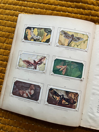 Zomer Verkade Plaatjesalbum 1907