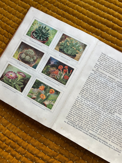 Cactus-Album Plaatjesalbum