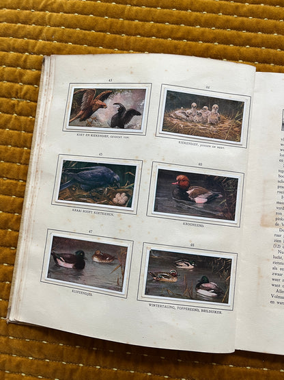 Das Naardermeer Verkade-Bilderalbum 1912