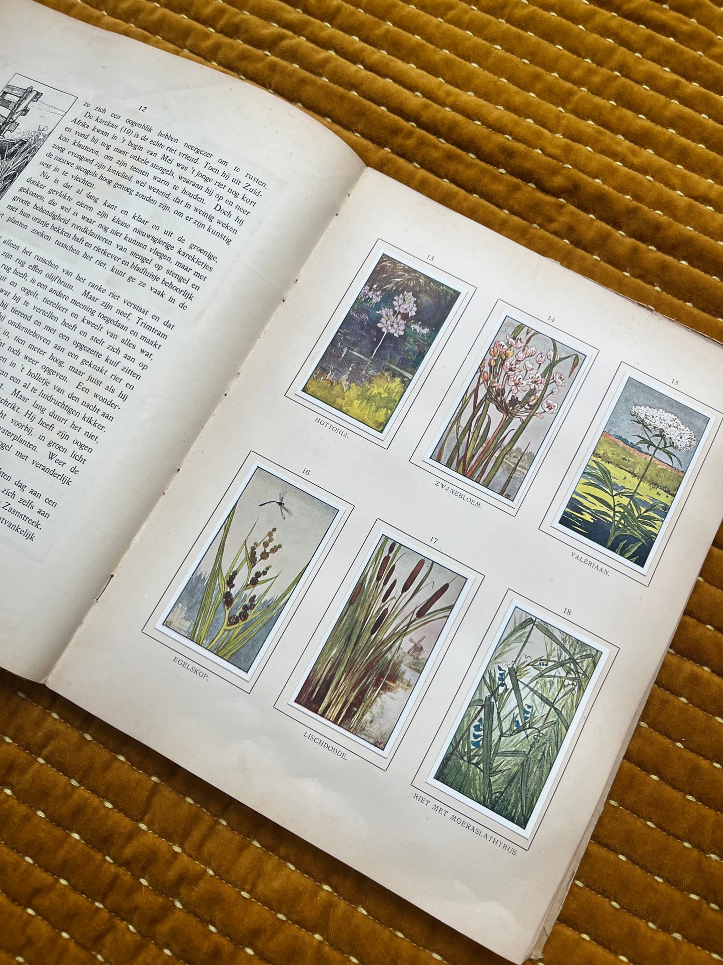 Zomer Verkade Plaatjesalbum 1907 (derde druk)