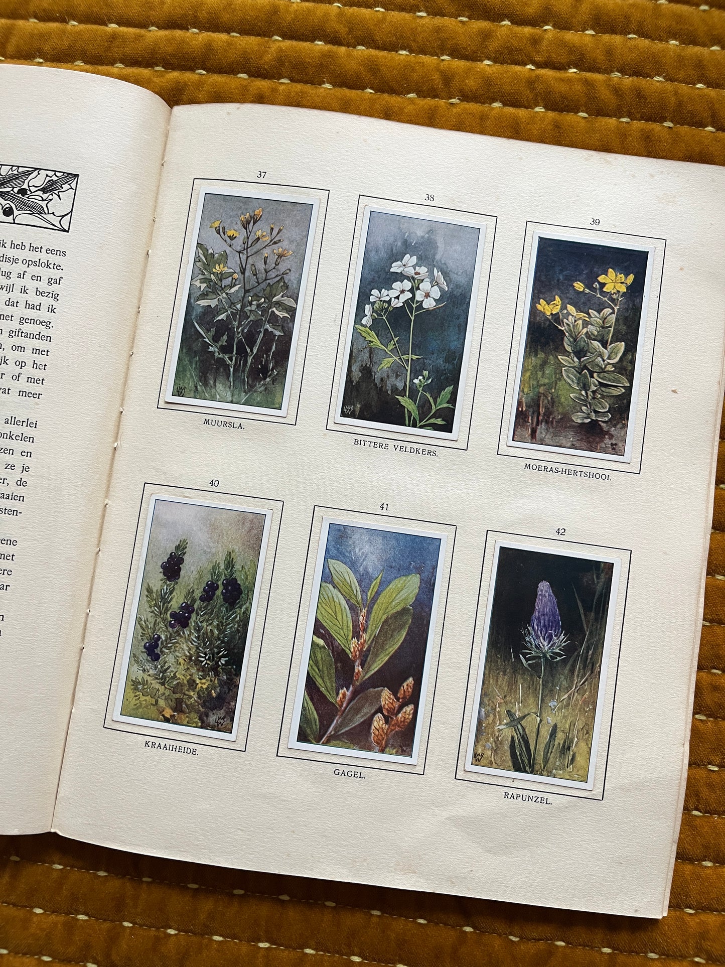 Bosch en Heide Verkade Plaatjesalbum 1913