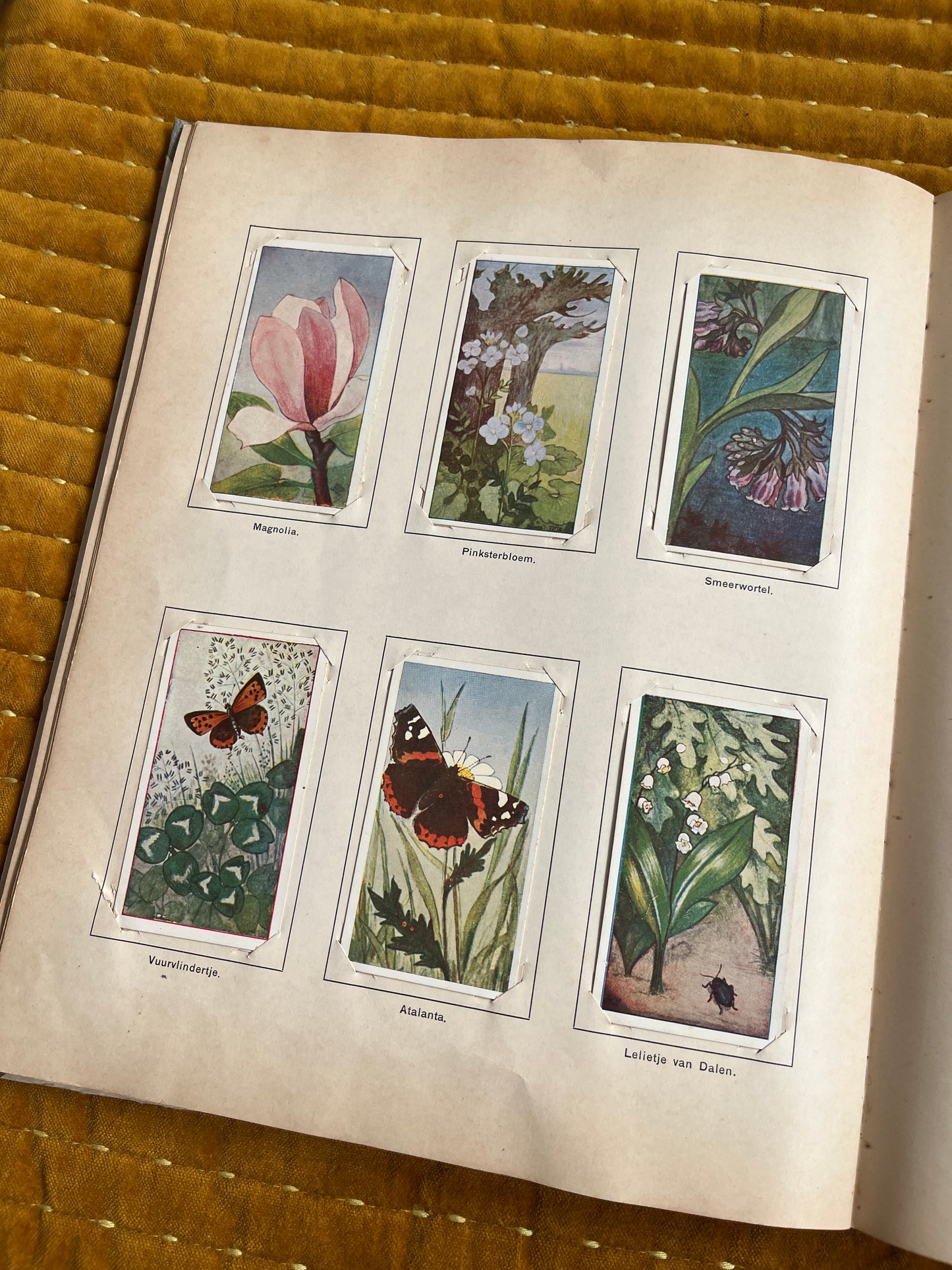 Lente Verkade Plaatjesalbum 1906