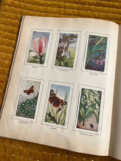 Lente Verkade Plaatjesalbum 1906