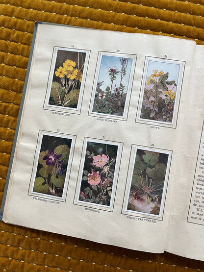 Das Bonte Wei Verkade-Bilderalbum 1911