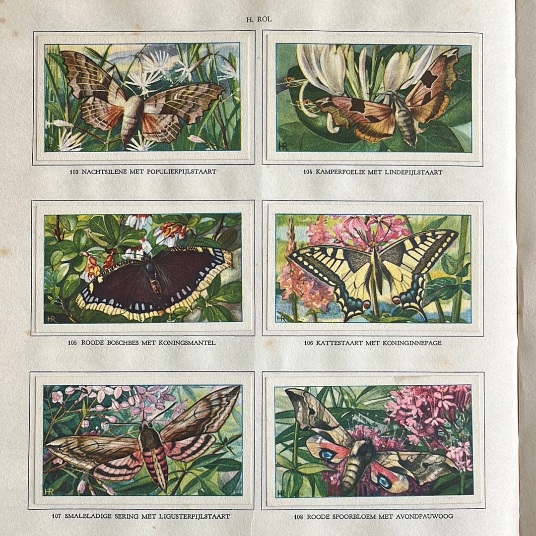 6 Verkade plaatjes De bloemen en haar vrienden 1934 (103-108)