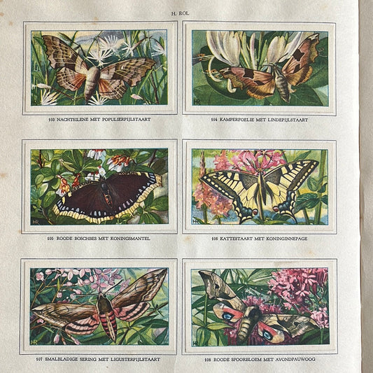6 Verkade-Bilder Die Blumen und ihre Freunde 1934 (103-108)
