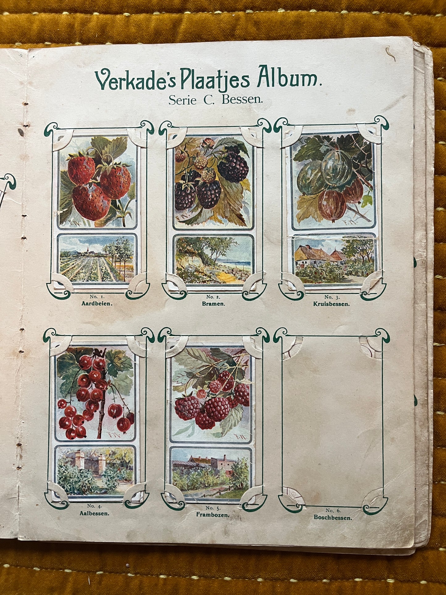 Verkade Picture Album 1 (1903) loose pictures Series C Berries