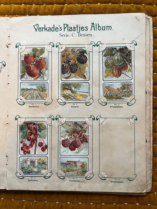 Verkade Bilderalbum 1 (1903) Lose Bilder Serie C Beeren