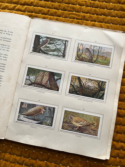 Herfst Verkade Plaatjesalbum 1910