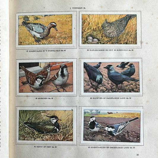 6 Verkade plaatjes De boerderij 1936 (87-92)