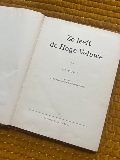 So lebt die Hoge Veluwe – Fotoalbum 1960