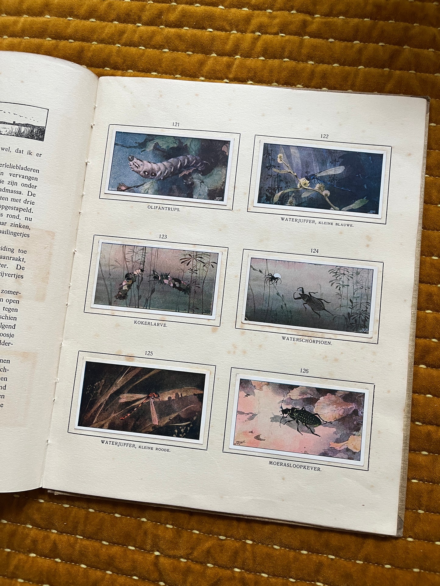 Das Naardermeer Verkade-Bilderalbum 1912