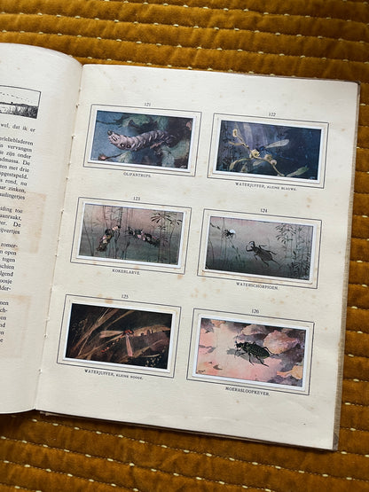 Das Naardermeer Verkade-Bilderalbum 1912