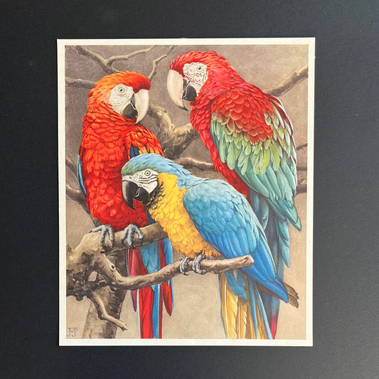 Drie papegaaien (1939)