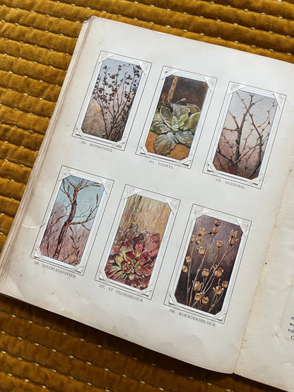 Winter Verkade Plaatjesalbum 1909