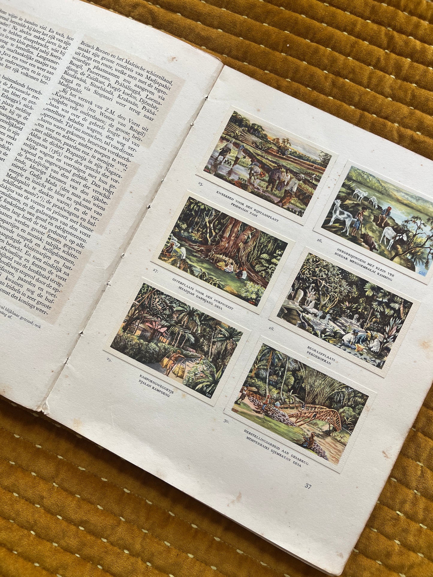 Java. Eerste deel. Plaatjesalbum 1934