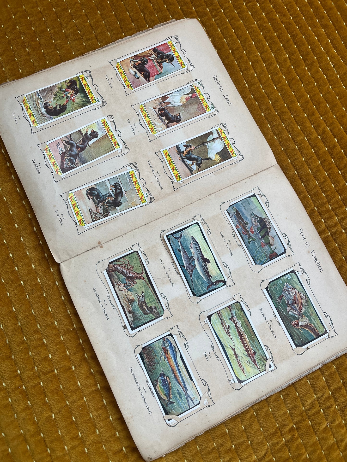 Verkade Bilderalbum 3, Serie 49-72, 1905, vollständig