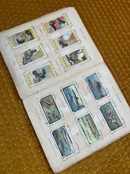 Verkade Bilderalbum 3, Serie 49-72, 1905, vollständig