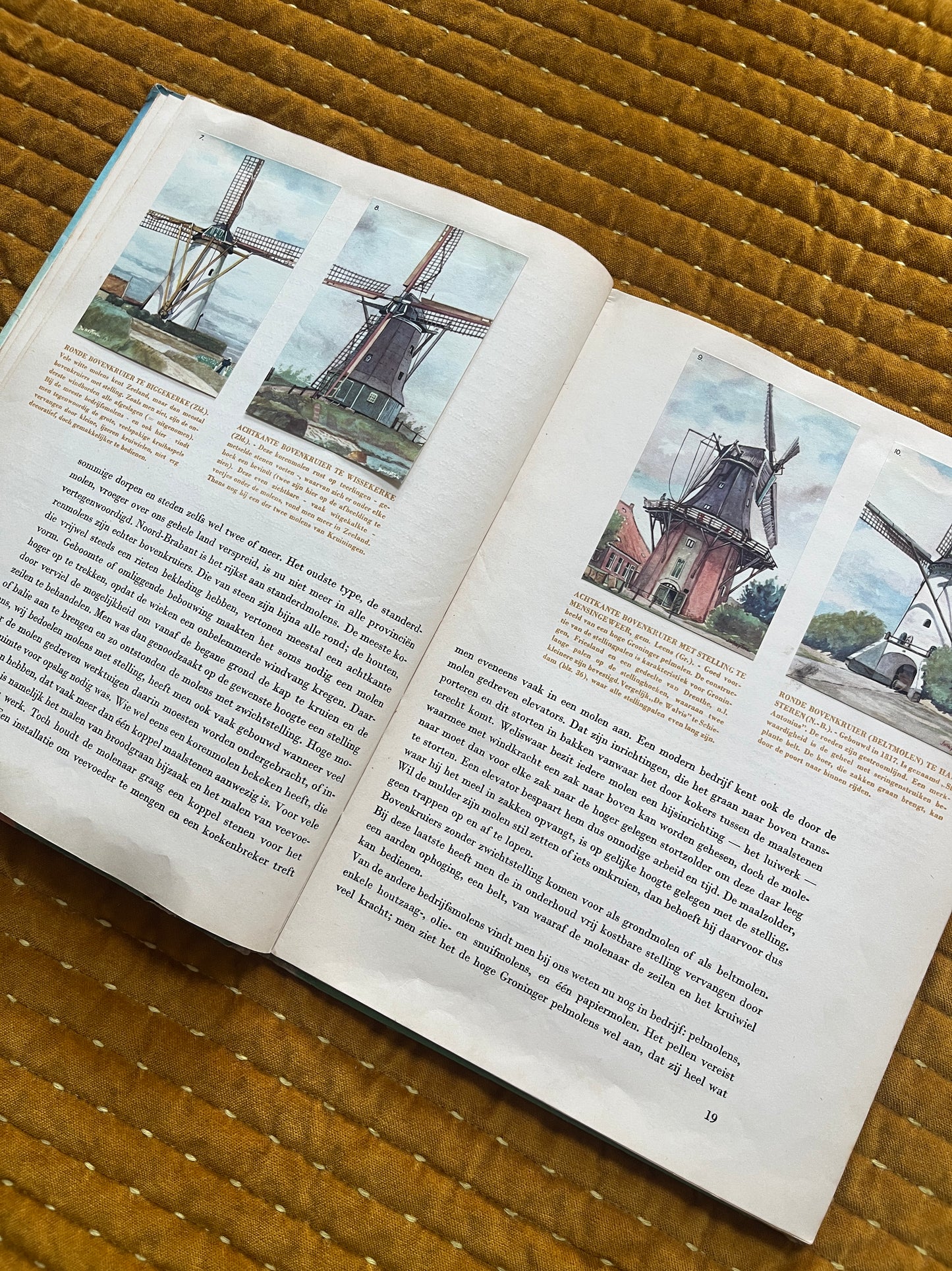 Mühlen und Kostüme in den Niederlanden, Fotoalbum 1949