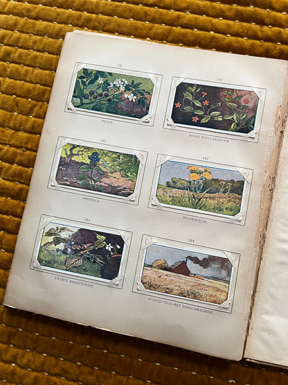 Zomer Verkade Plaatjesalbum 1907