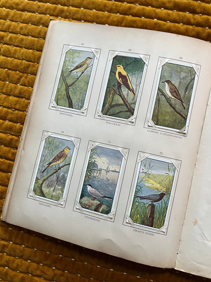 Zomer Verkade Plaatjesalbum 1907