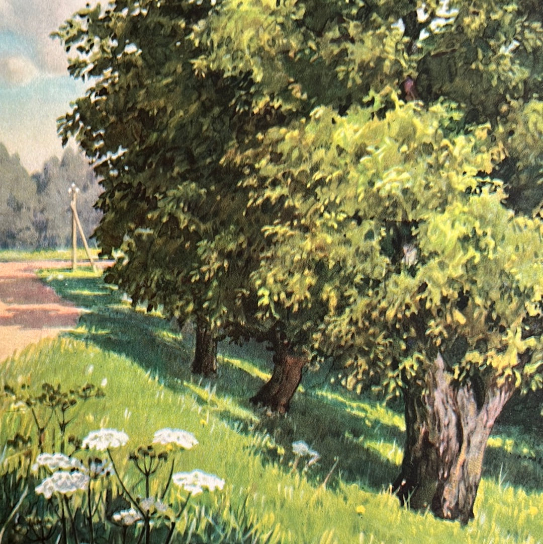 Plate 18: Nut trees on the dike 1938