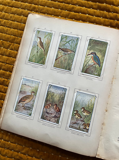 Zomer Verkade Plaatjesalbum 1907