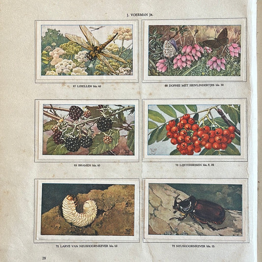 6 Verkade plaatjes Hans de Torenkraai 1935 (67-72)