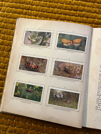 Blonde Duinen Verkade Plaatjesalbum 1910